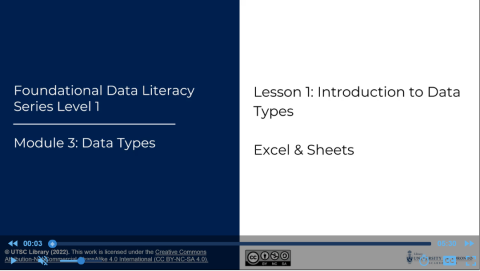 Excel - M03 - 01 Introduction to Data Types